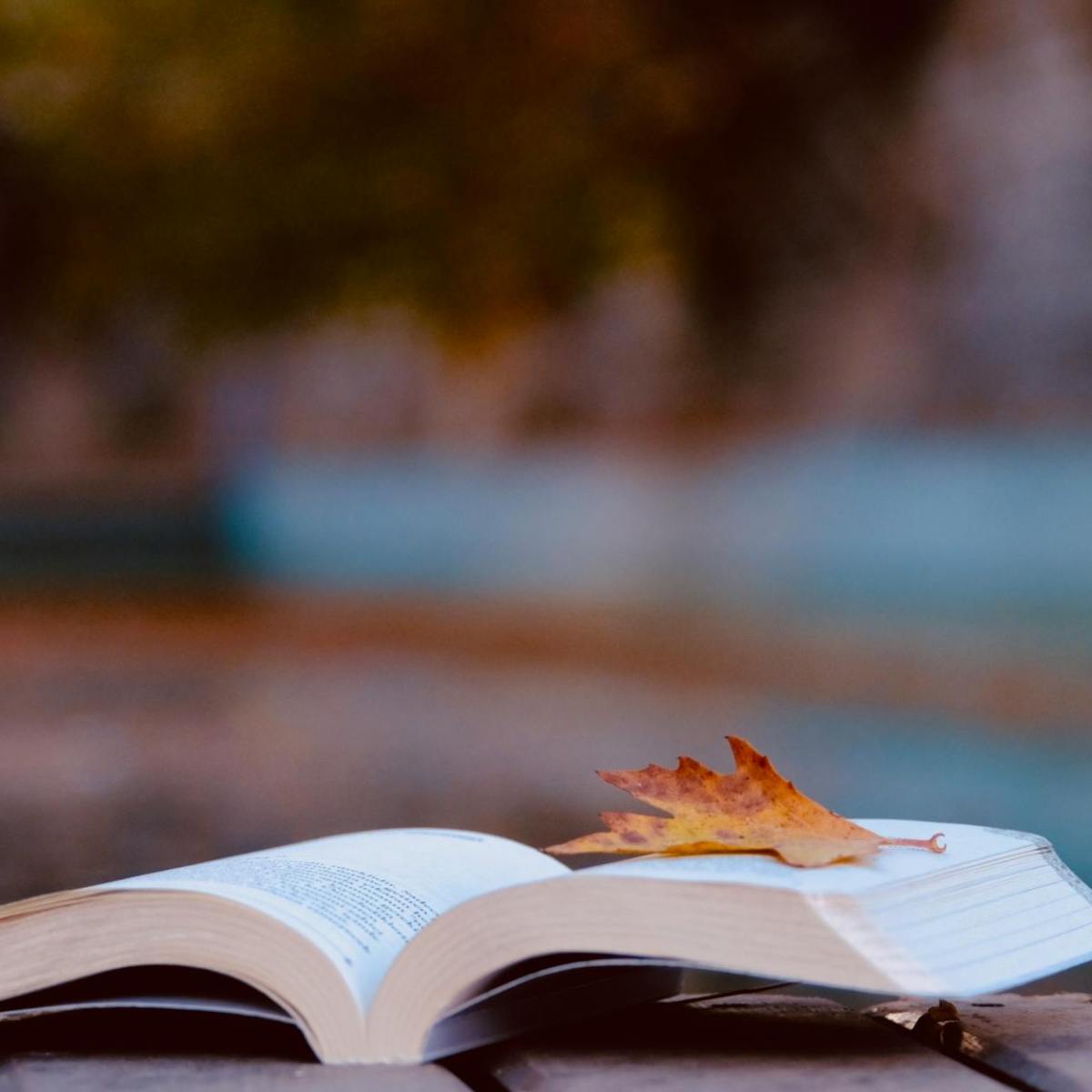 Lessons from Timeless Books: Empathy, Trust, and Moral&nbsp;Action