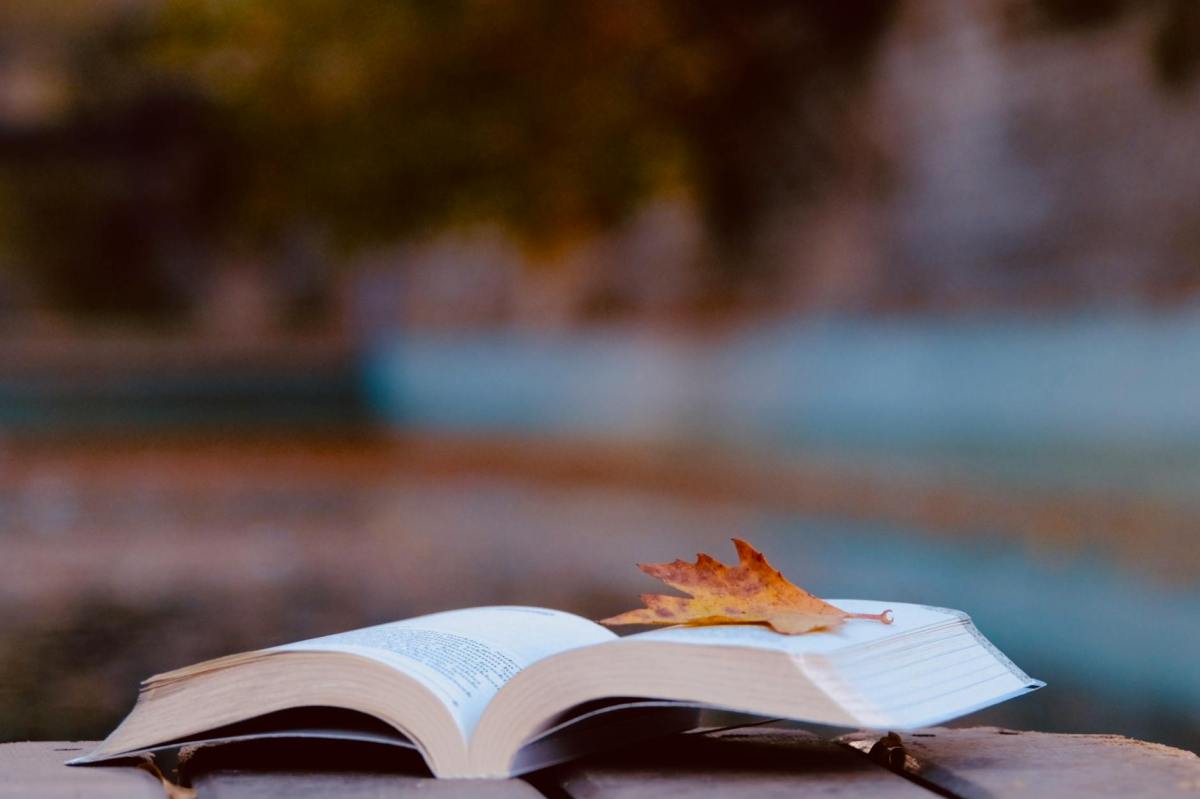 Lessons from Timeless Books: Empathy, Trust, and Moral&nbsp;Action